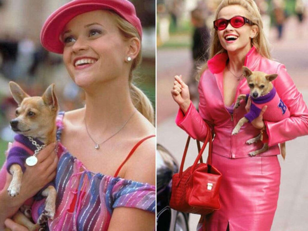 Legalmente Loira 3 mostrará Elle Woods como mãe 1 Legalmente Loira 3