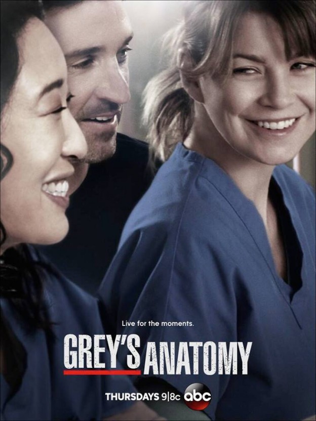 Grey's Anatomy e American Horror Story deixam Globoplay em setembro - GKPB  - Geek Publicitário