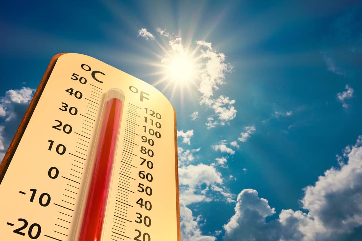 United Nations experts warn of the rise and intensification of heat waves