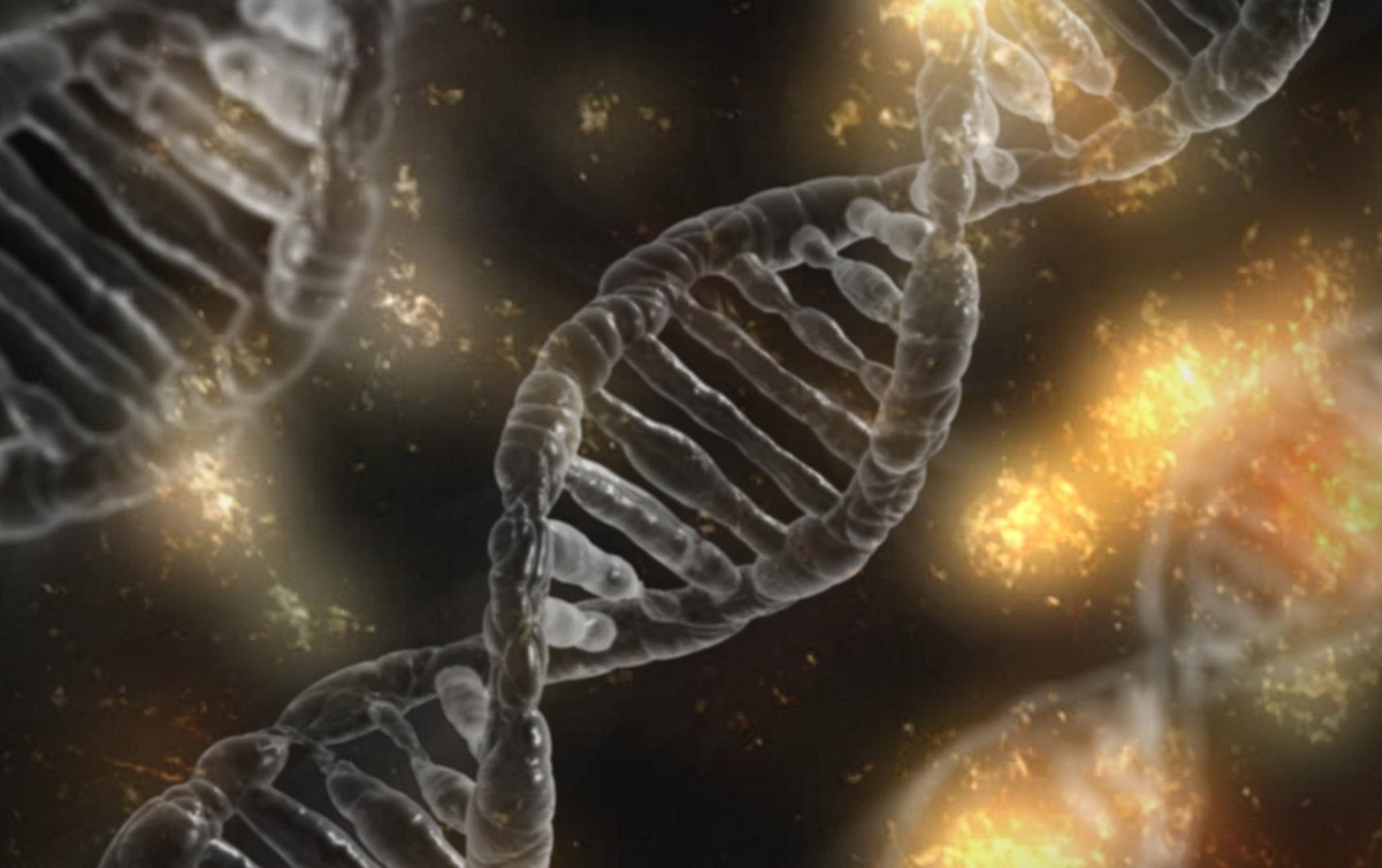 Pesquisadores reconstroem genomas de ancestrais