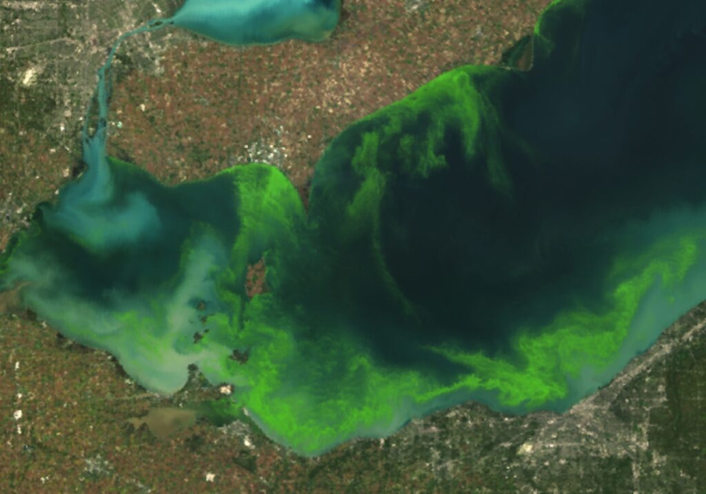 Florações de algas no Lago Erie