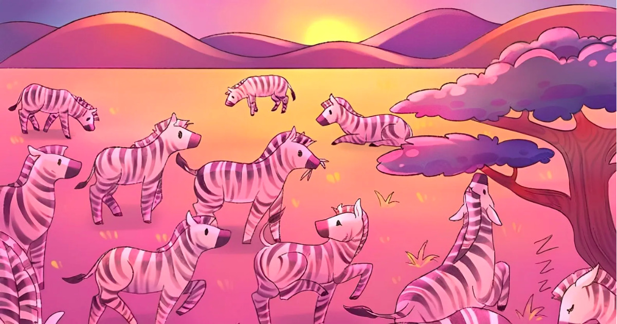 Desafio da zebras