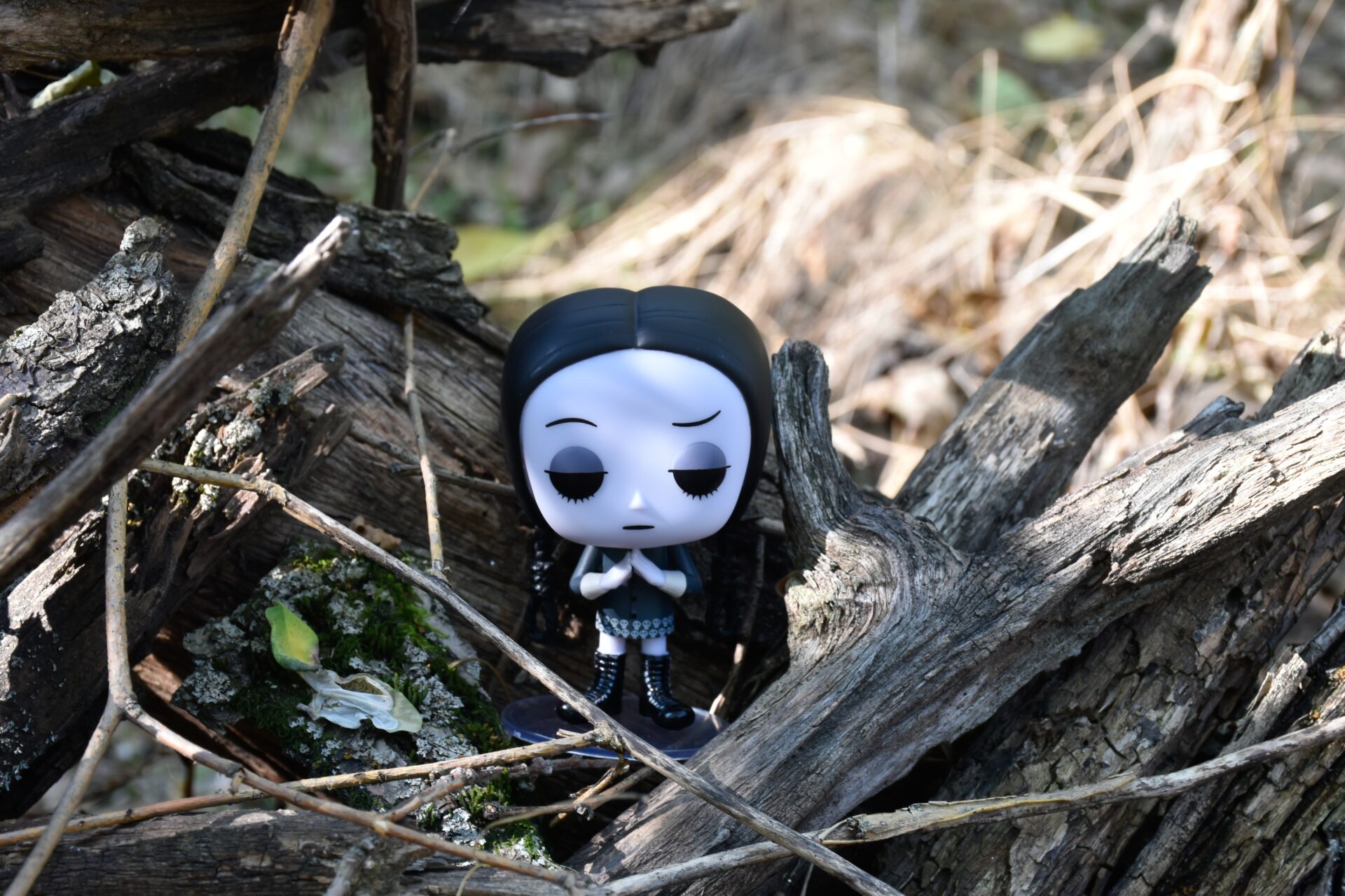 Aumente sua coleção da 'Família Addams' com produtos temáticos