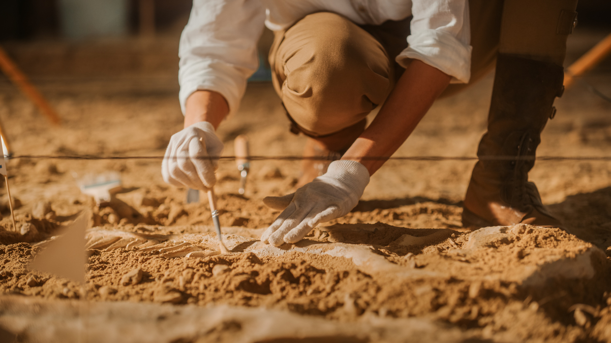 Descobertas pré-históricas são feitas no semiárido baiano