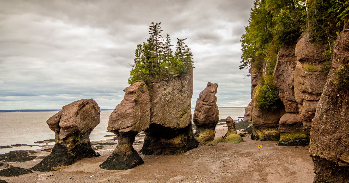¡Encontrar fósiles en esta playa de Canadá es muy fácil y divertido!