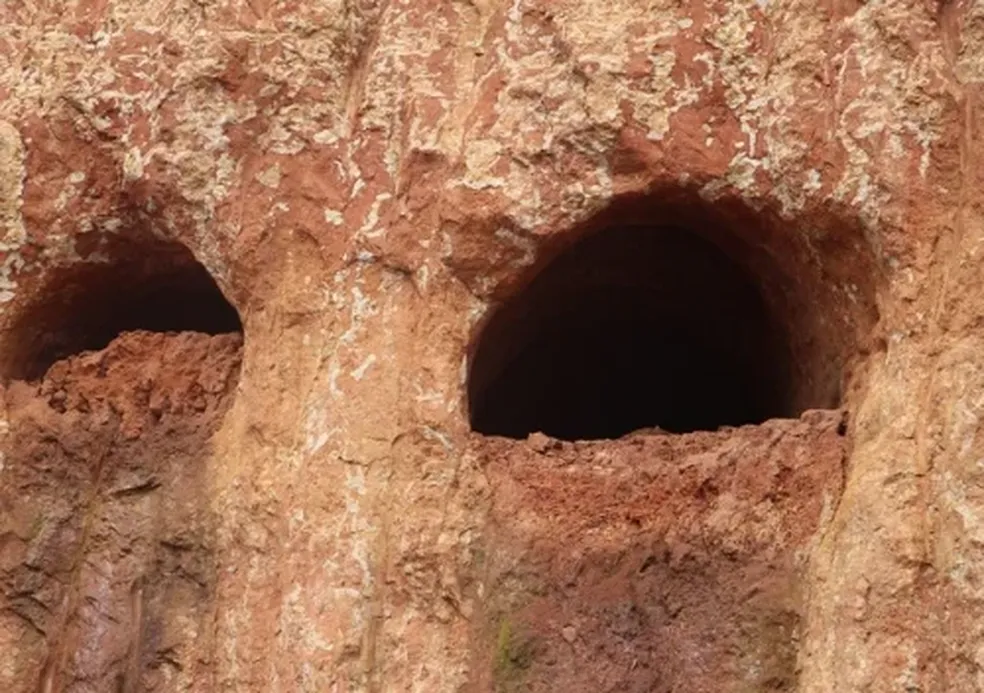 Paleotocas, cavernas gigantescas, são encontradas no Brasil
