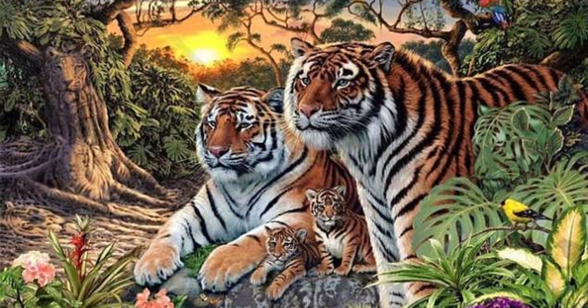 Você precisa encontrar 16 tigres em 21 segundos. Acha que consegue?