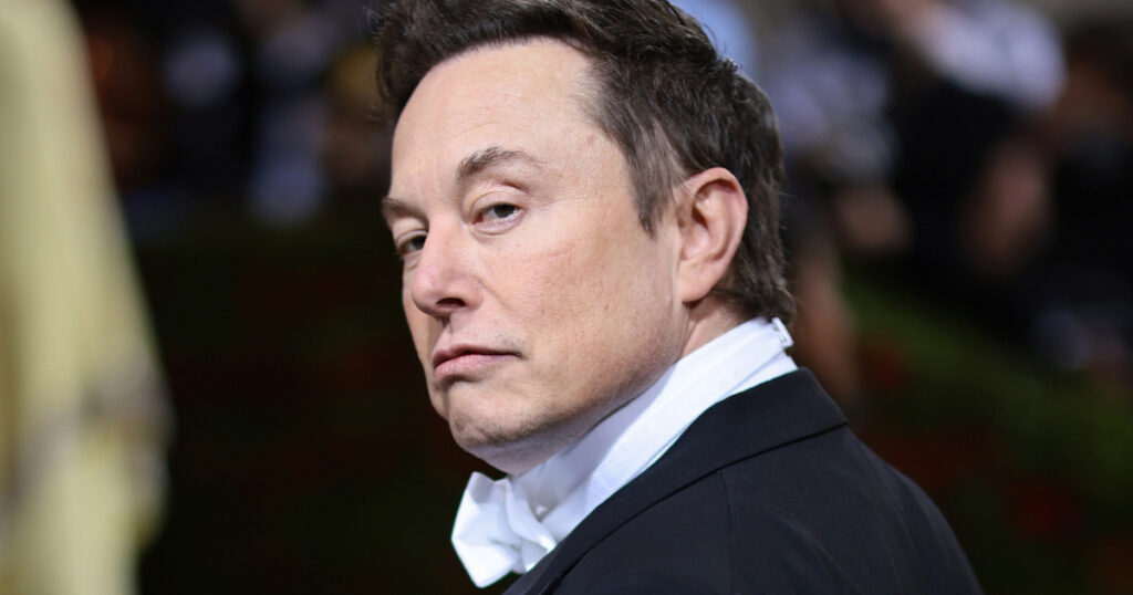 Elon Musk oferece recompensa a herdeiros de esmeralda