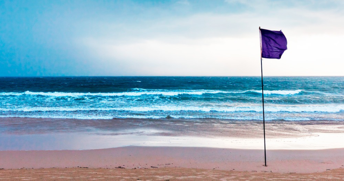 Você sabe o significado de uma bandeira roxa na praia?
