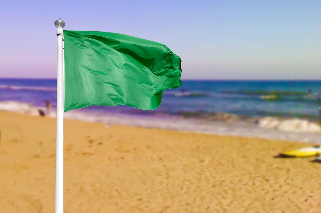 BANDEIRA VERDE