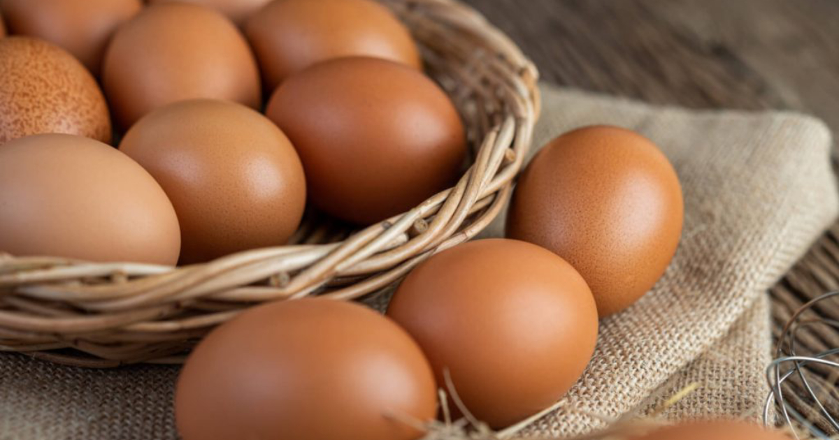 This is the perfect way to store eggs.  Learn now!