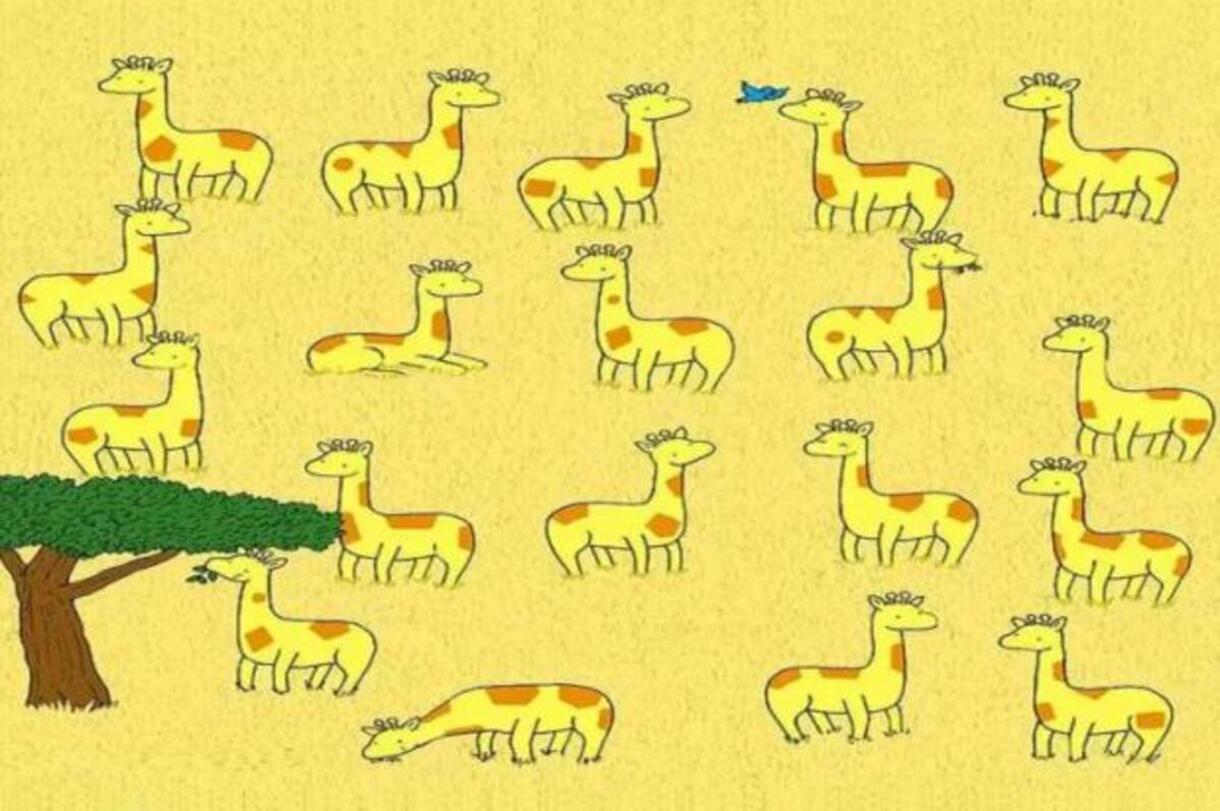 Encontre a girafa solitária