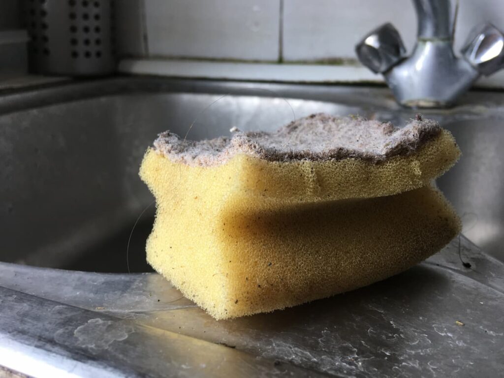 Study says dish sponges are dirtier than toilets