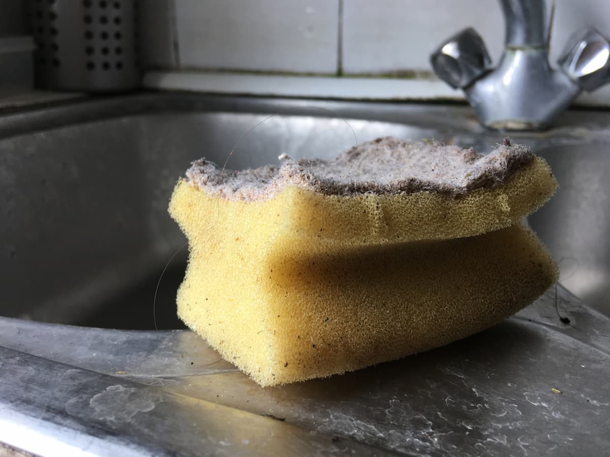 Study shows that a dish sponge can be dirtier than a toilet bowl
