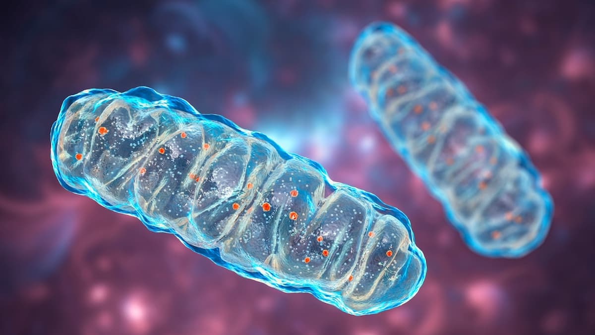 Criança com DNA de três pessoas nasce no Reino Unido