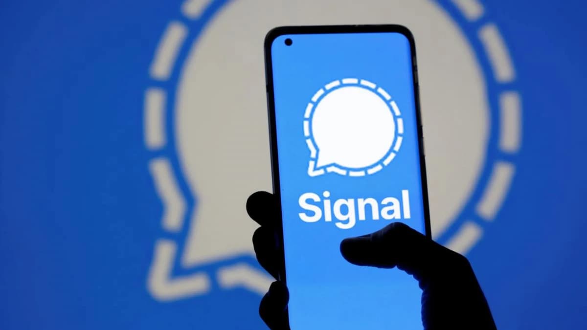 Signal: conheça o aplicativo de mensagem mais seguro atualmente