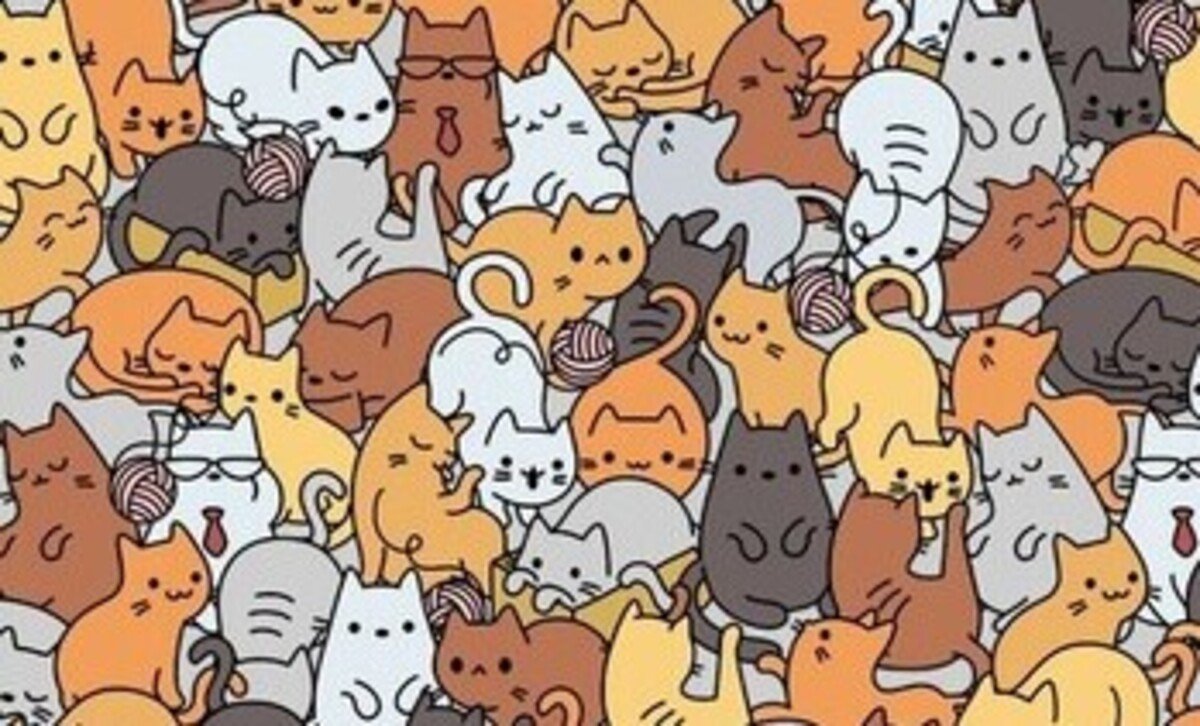 Desafio visual: encontre o rato entre os gatos em menos de 7 segundos